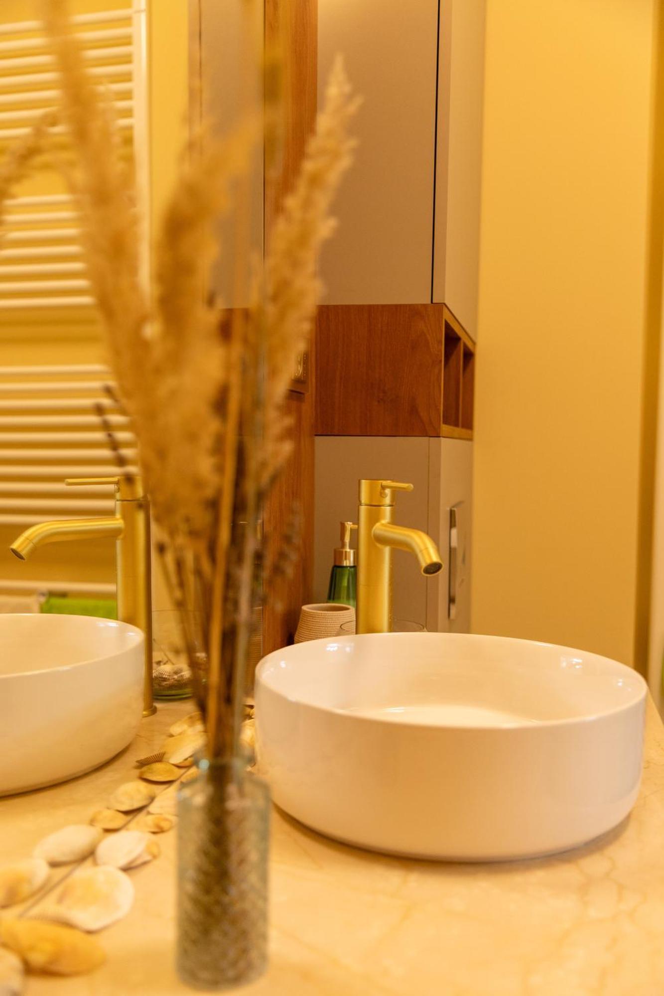 Ophir Apartment Central Κλουζ-Ναπόκα Εξωτερικό φωτογραφία