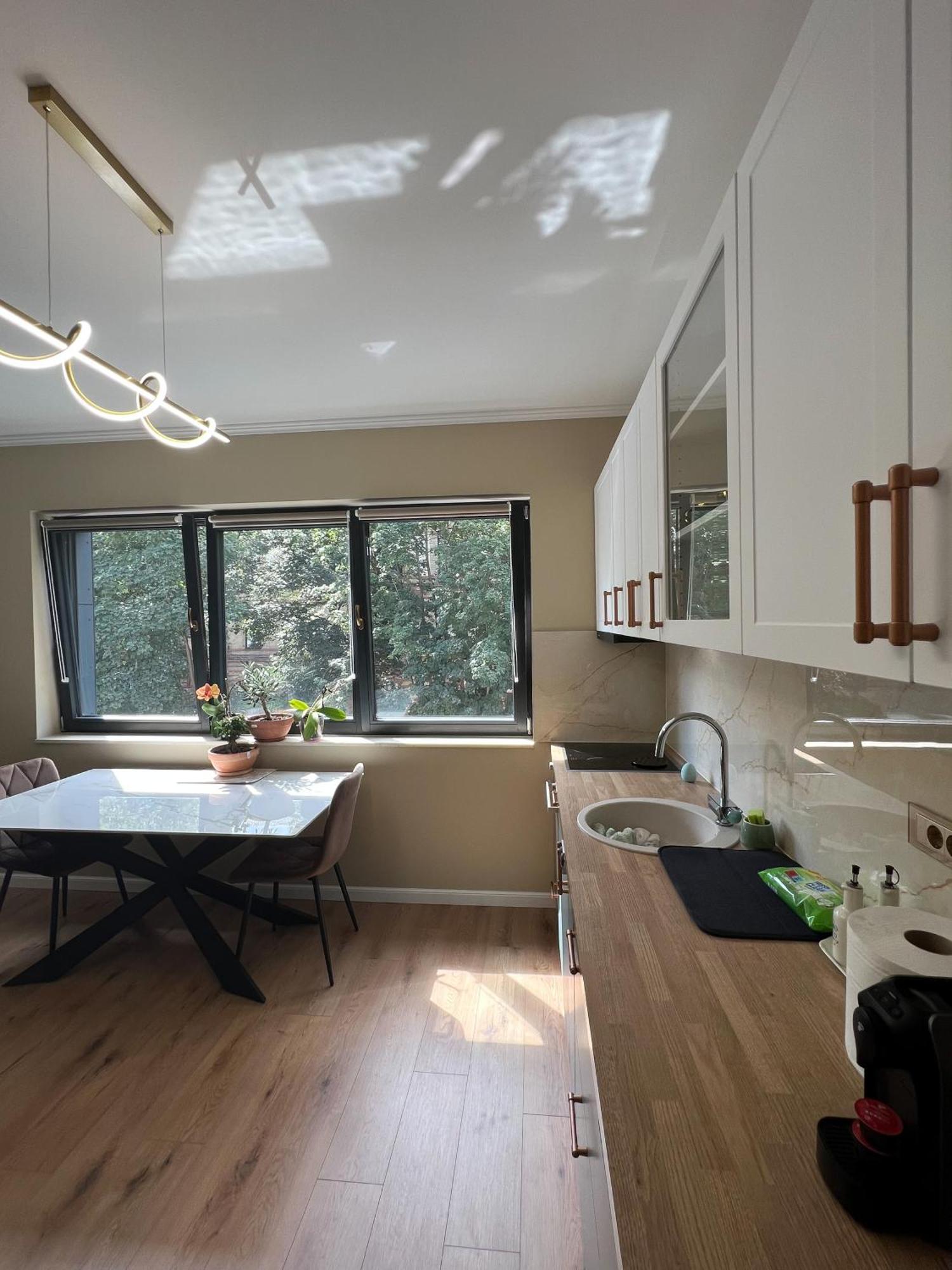 Ophir Apartment Central Κλουζ-Ναπόκα Εξωτερικό φωτογραφία